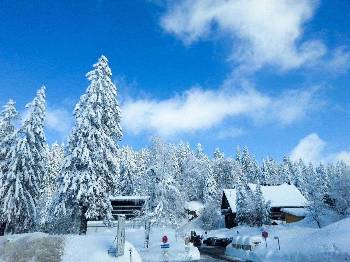 Apartment H&p Touristik Residenz Grafenmatt Gra-3-1 *