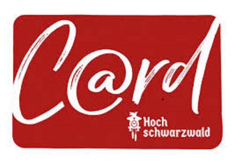 H&p Touristik Residenz Grafenmatt Gra-3-1 Apartment Feldberg (Baden-Wurttemberg)